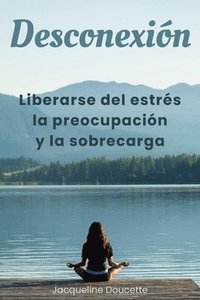 bokomslag Desconexión