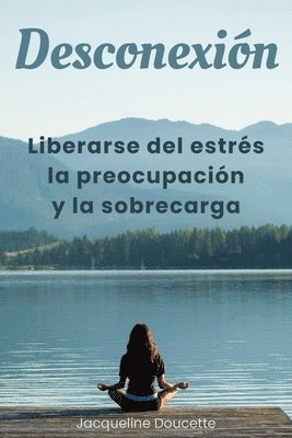 bokomslag Desconexión