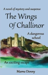 bokomslag Wings Of Challinor