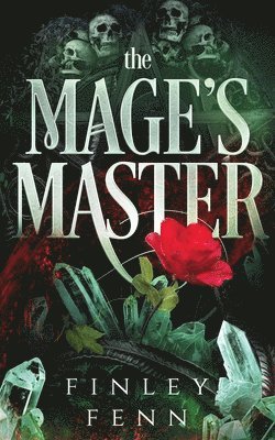 Finley Fenn - Mage's Master, Häftad