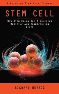 bokomslag Stem Cell