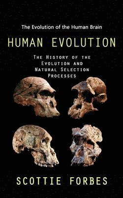 Human Evolution 1