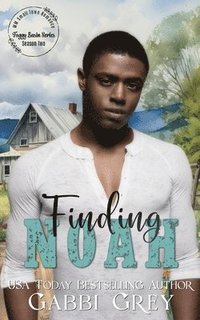 bokomslag Finding Noah