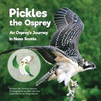 bokomslag Pickles the Osprey