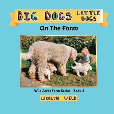 Big Dogs Little Dogs 1