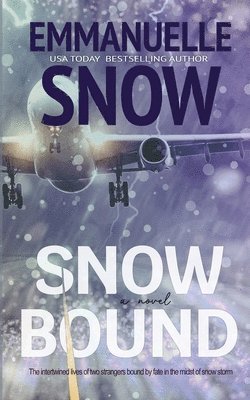 SnowBound 1