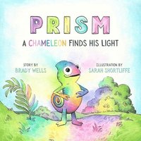 bokomslag Prism