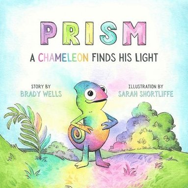 bokomslag Prism
