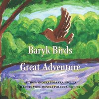 bokomslag Baryk Birds Great Adventure