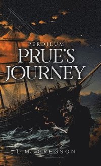 bokomslag Prue's Journey