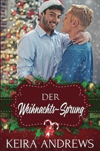 bokomslag Der Weihnachts-Sprung