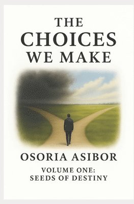 bokomslag Choices We Make