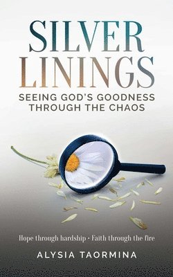 bokomslag Silver Linings