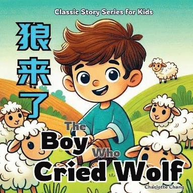 bokomslag The Boy Who Cried Wolf