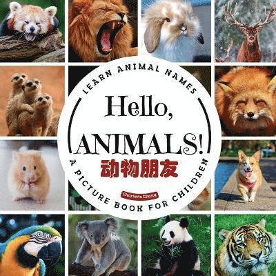 Hello, Animals! 1