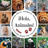 bokomslag ¡Hola, Animales!