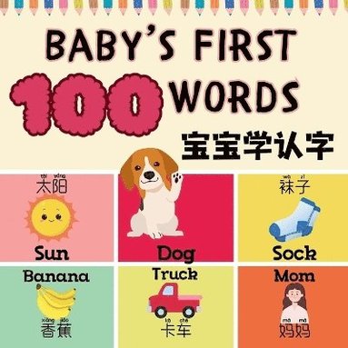 bokomslag Baby's First 100 Words