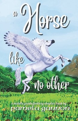 Pamela Gannon - A Horse Like no Other: A Magical Middle-Grade Horse Adventure with Flying Ponies, Friendship, and Courage, Häftad