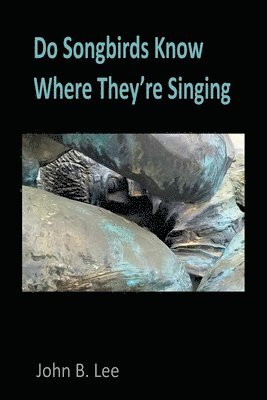 Do Songbirds Know Where They're Singing