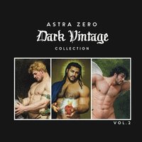 bokomslag Astra Zero Dark Vintage Vol.2 - 8.5x8.5"