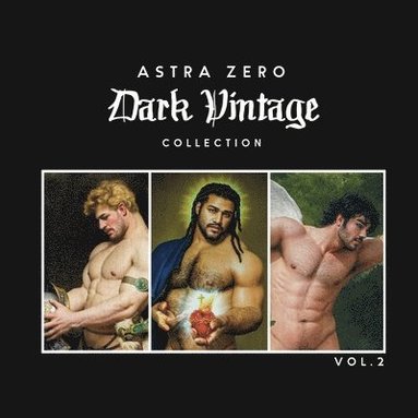 bokomslag Astra Zero Dark Vintage Vol.2 - 8.5x8.5"