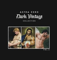 bokomslag Astra Zero Dark Vintage Vol.2 - 8.5x8.5"