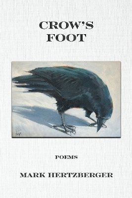 bokomslag Crow's Foot