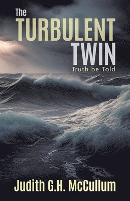 The Turbulent Twin 1