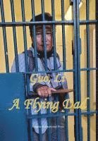 Flying Dad 1
