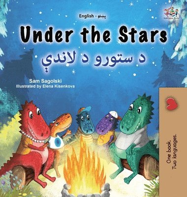 bokomslag Under the Stars (English Pashto Bilingual Kids Book)