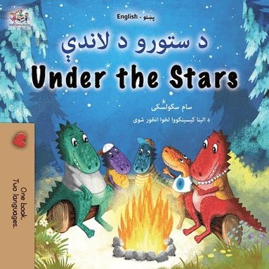 bokomslag Under the Stars (Pashto English Bilingual Kids Book)