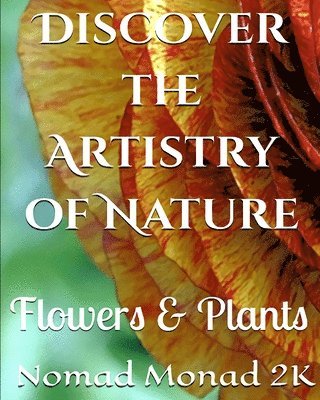 Discover the Artistry of Nature 1