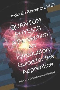 bokomslag Quantum Physics - A Perception