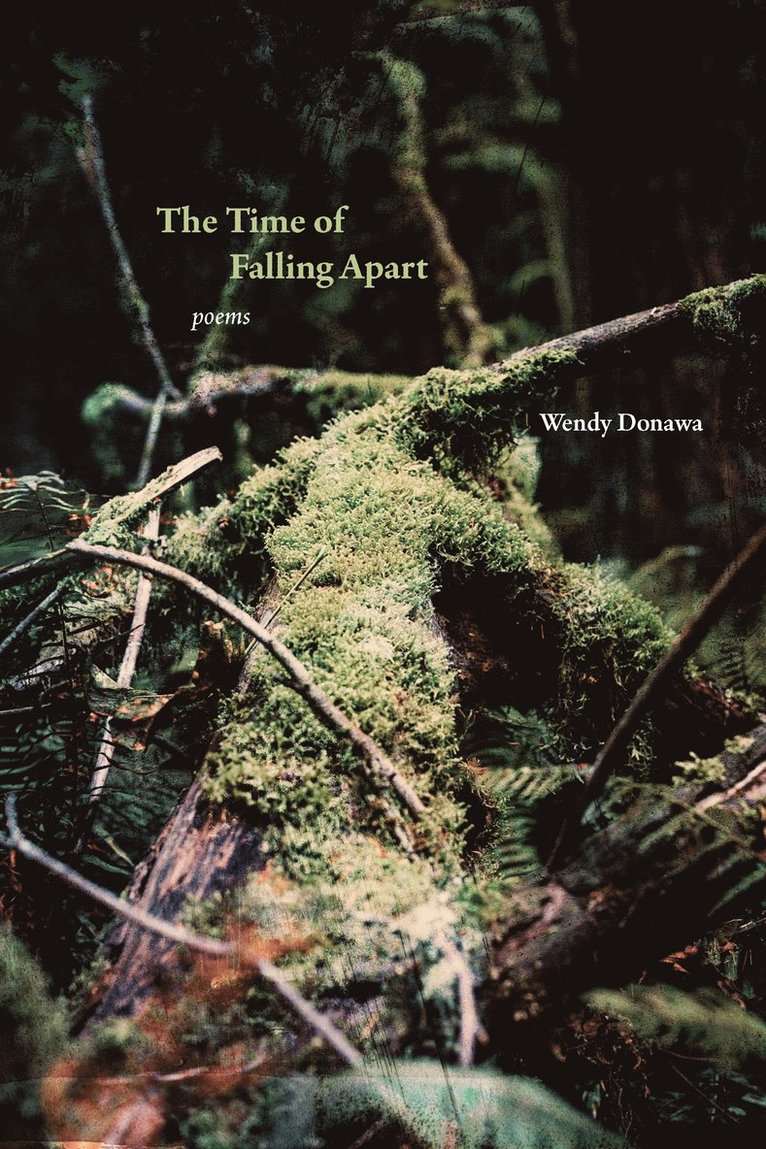 Wendy Donawa - Time of Falling Apart, Häftad