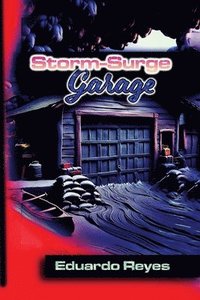 bokomslag Storm-Surge Storage Garage