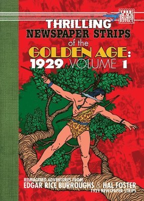 bokomslag Thrilling Newspaper Strips of the Golden Age, 1929 Volume 1 (Digest)