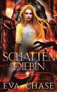 bokomslag Schattendiebin
