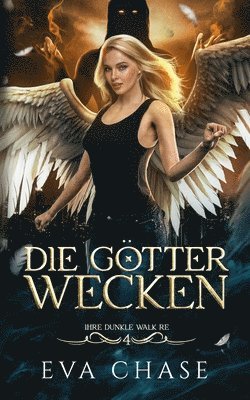 bokomslag Die Götter wecken