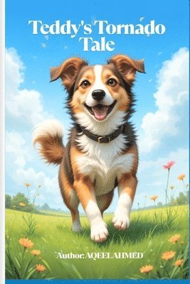 Aqeel Ahmed, AQEEL AHMED - Teddy's Tornado Tale, Häftad
