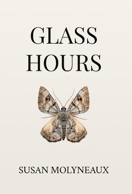 bokomslag Glass Hours