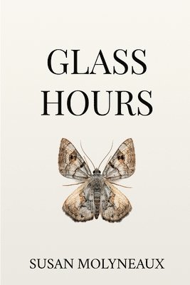 bokomslag Glass Hours