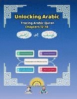 bokomslag Unlocking Arabic