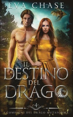 bokomslag Il destino del drago