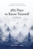 bokomslag 365 Days to Know Yourself