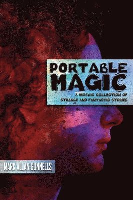 bokomslag Portable Magic