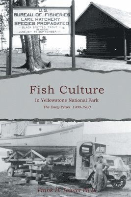 bokomslag Fish Culture in Yellowstone National Park