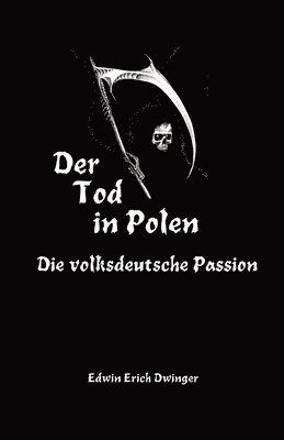 bokomslag Tod in Polen