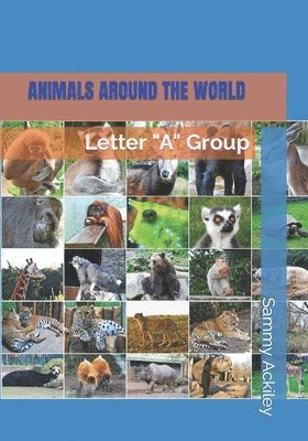 Animals Around the World 1