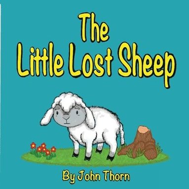 John Thorn - Little Lost Sheep, Häftad