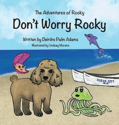 The Adventures of Rocky Don't Worry Rocky 1